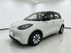 Wuling Binguo 333km Joy Edition - ფოტო 1