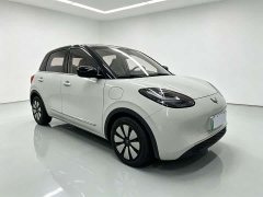 Wuling Binguo 333km Joy Edition - ფოტო 3