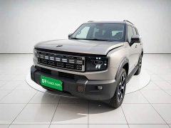 Jetour Jietu Shanhai T1 2024 150km Xianghu - ფოტო 1