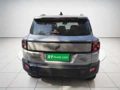 Jetour Jietu Shanhai T1 2024 150km Xianghu - ფოტო 5