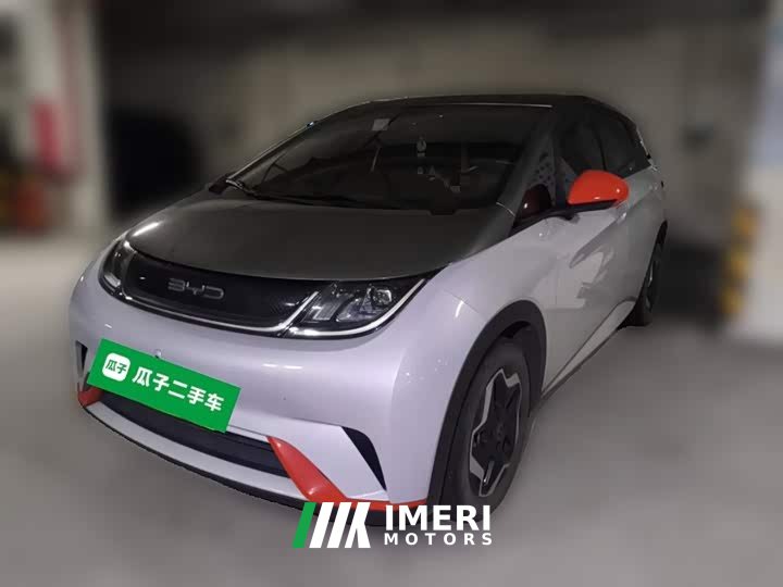 BYD Dolphin 405km Fashion Edition - ავტომობილი ჩინეთიდან