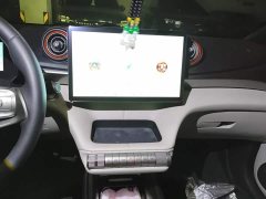 BYD Dolphin 405km Fashion Edition - ფოტო 14