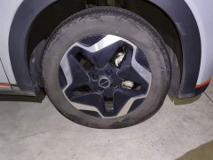 BYD Dolphin 405km Fashion Edition - ფოტო 8