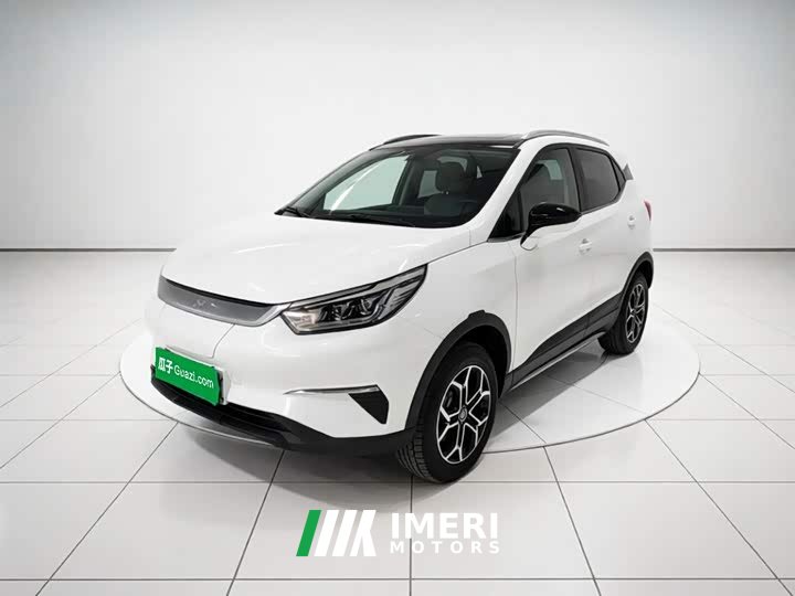 BYD Yuan Pro Love for Life Edition - ავტომობილი ჩინეთიდან