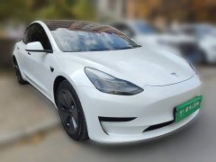 Tesla Model 3 Rear-Wheel Drive - ფოტო 3