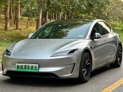 Tesla Model 3 High Performance All-Wheel Drive - ფოტო 1