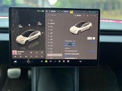 Tesla Model 3 High Performance All-Wheel Drive - ფოტო 7