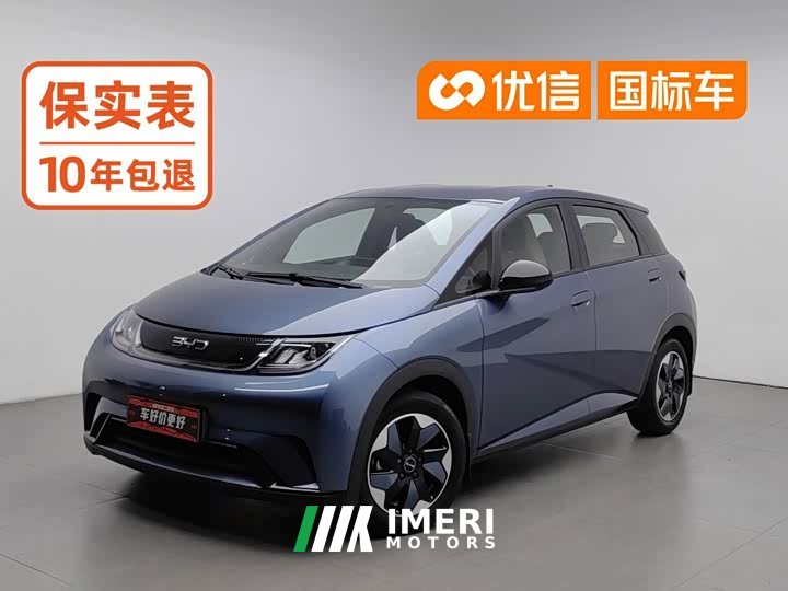 BYD Dolphin 420km Freedom Edition - ავტომობილი ჩინეთიდან