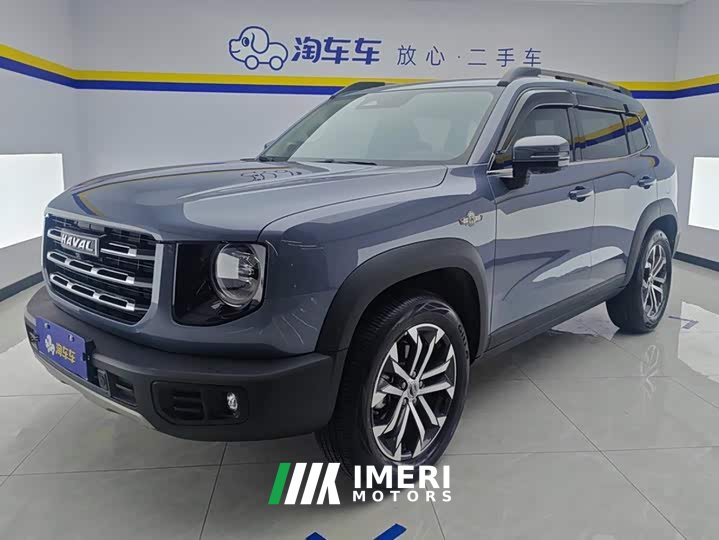Great Wall Dachshund 1.5T DCT Two-Wheel Drive Border Collie Edition