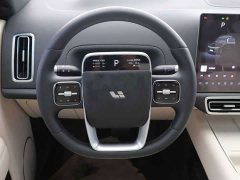 Li Auto L9 Pro - ფოტო 9