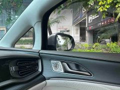 Denza D9 2022 DM-i 970 AWD Flagship - ფოტო 11
