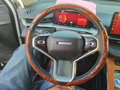 Haval H6 Third Generation 2.0T Automatic Two-Wheel Drive Max - ფოტო 15