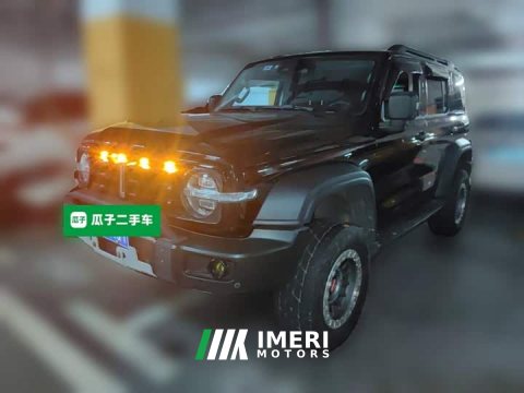 2021 Tank 300 Off-Road Edition 2.0T Challenger - ავტომობილი ჩინეთიდან