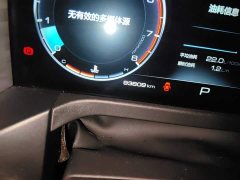 Tank 300 Off-Road Edition 2.0T Challenger - ფოტო 13