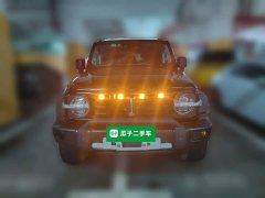 Tank 300 Off-Road Edition 2.0T Challenger - ფოტო 2