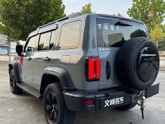 Tank 300 2023 Off-Road Edition 2.0T Conqueror - ფოტო 8