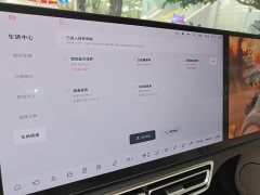 Li Auto L8 Pro - ფოტო 8