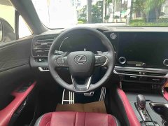 Lexus RX 2023 500h AWD F SPORT Performance - ფოტო 13