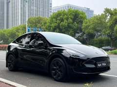 Tesla Model Y 2022 Facelift Rear-Wheel Drive - ფოტო 7