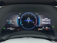 Lexus RX 300 AWD Premium Edition - ფოტო 12