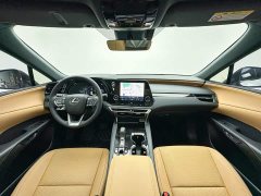 Lexus RX 300 AWD Premium Edition - ფოტო 18