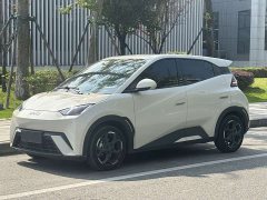 BYD Seagull Glory Edition 405km Flying Edition - ფოტო 1