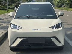 BYD Seagull Glory Edition 405km Flying Edition - ფოტო 2