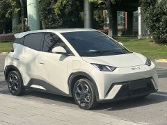 BYD Seagull Glory Edition 405km Flying Edition - ფოტო 3