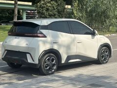 BYD Seagull Glory Edition 405km Flying Edition - ფოტო 4