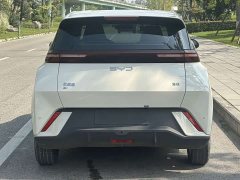 BYD Seagull Glory Edition 405km Flying Edition - ფოტო 5