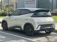 BYD Seagull Glory Edition 405km Flying Edition - ფოტო 7