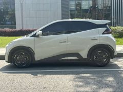 BYD Seagull Glory Edition 405km Flying Edition - ფოტო 8