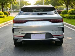 BYD Song Plus New Energy 2021 DM-i 110KM Flagship Plus - ფოტო 9