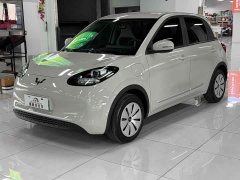 Wuling Binguo 2024 203km Light Enjoy Edition - ფოტო 1