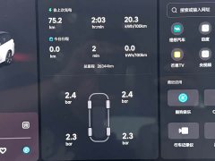 Li Auto i8 Standard Edition - ფოტო 12