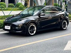 Tesla Model Y Rear-Wheel Drive - ფოტო 1