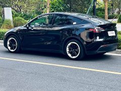 Tesla Model Y Rear-Wheel Drive - ფოტო 10