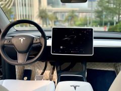 Tesla Model Y Rear-Wheel Drive - ფოტო 16
