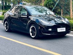 Tesla Model Y Rear-Wheel Drive - ფოტო 18