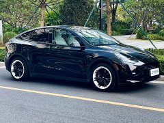 Tesla Model Y Rear-Wheel Drive - ფოტო 19