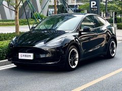 Tesla Model Y Rear-Wheel Drive - ფოტო 2
