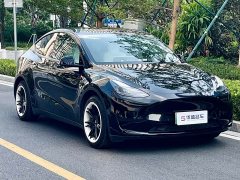 Tesla Model Y Rear-Wheel Drive - ფოტო 20