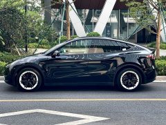 Tesla Model Y Rear-Wheel Drive - ფოტო 3