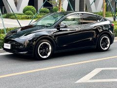 Tesla Model Y Rear-Wheel Drive - ფოტო 4