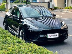 Tesla Model Y Rear-Wheel Drive - ფოტო 6