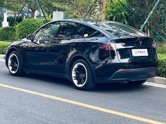 Tesla Model Y Rear-Wheel Drive - ფოტო 7