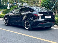 Tesla Model Y Rear-Wheel Drive - ფოტო 8