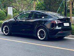 Tesla Model Y Rear-Wheel Drive - ფოტო 9