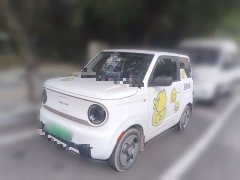 Geely Panda 2023 Panda Mini 200km Agile Panda - ფოტო 1