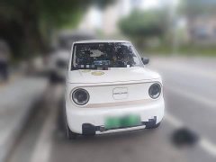 Geely Panda 2023 Panda Mini 200km Agile Panda - ფოტო 2